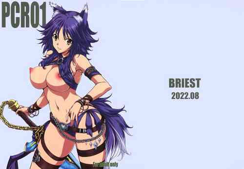 (C100) [BRIEST (Yatsushima Tetsuya)] PCR01 (Princess Connect! Re:Dive)