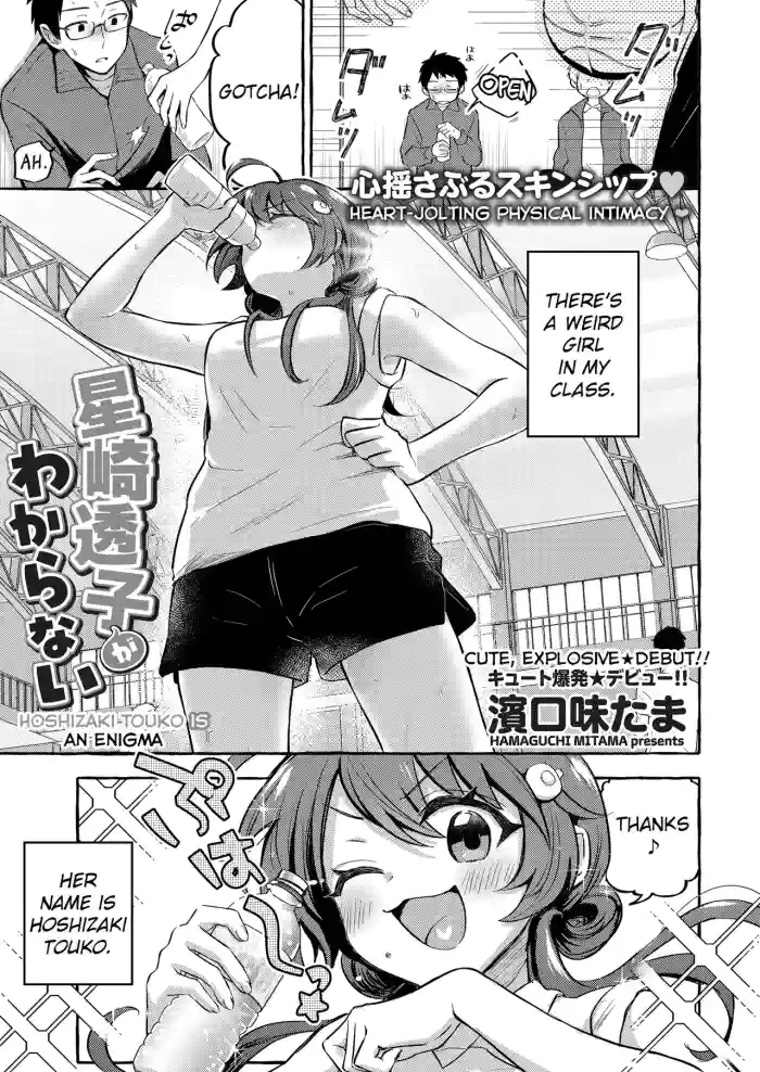 Hoshizaki Touko ga Wakaranai